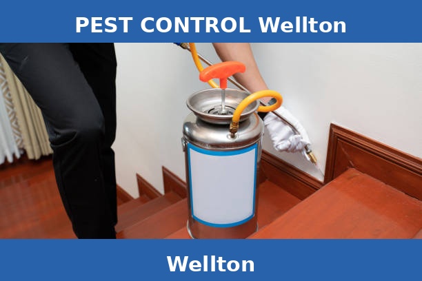 PEST CONTROL Wellton